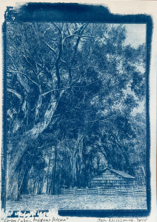 Landscape Cyanotype - L4