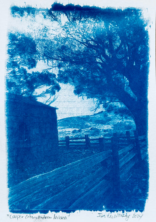 Landscape Cyanotype - L7